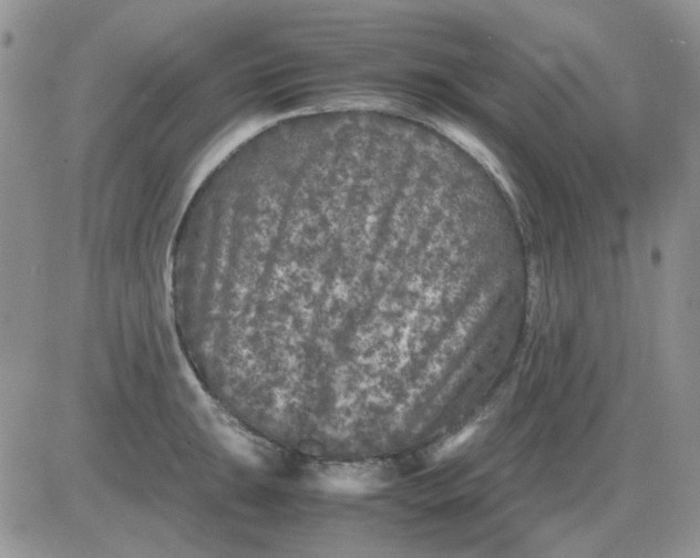 X0000081471047200701261958