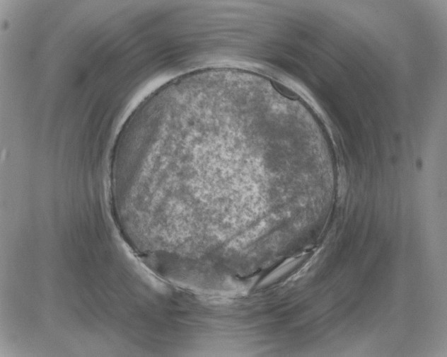 X0000081471048200701261958