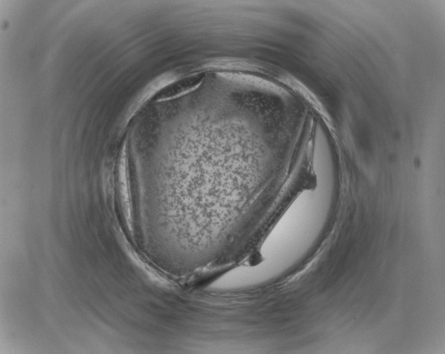 X0000081471049200701261958