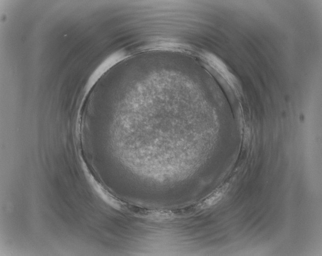 X0000081471050200701261958