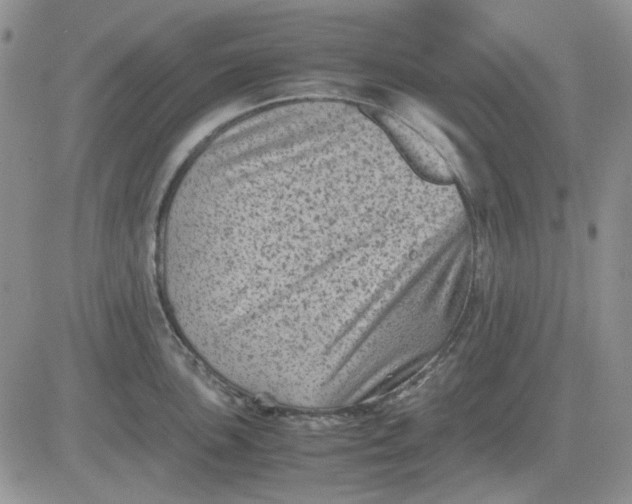 X0000081471051200701261958