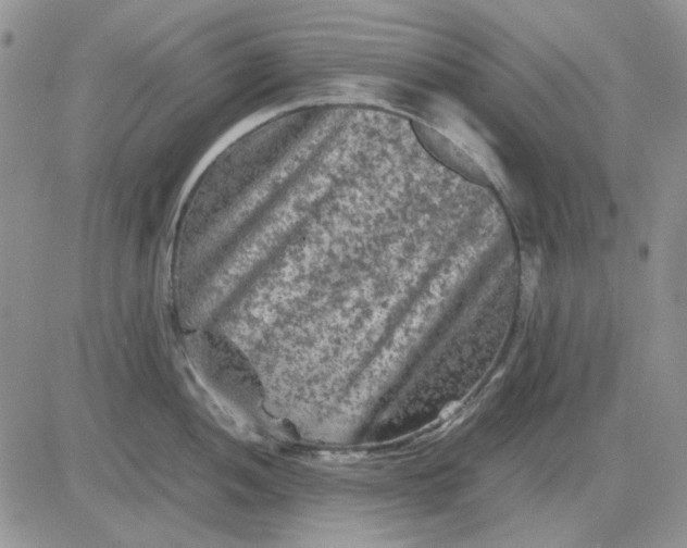 X0000081471052200701261958