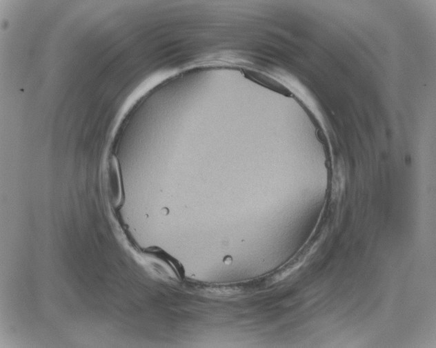 X0000081471053200701261958