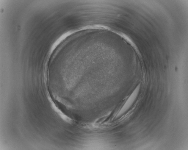 X0000081471054200701261958