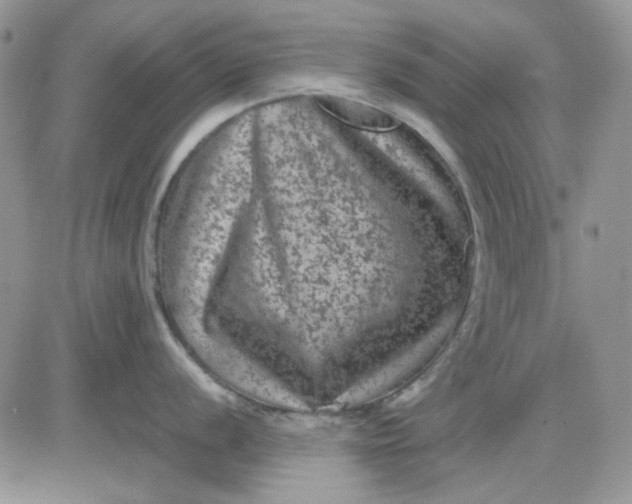 X0000081471056200701261958