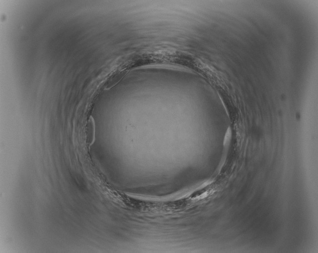 X0000081471057200701261957