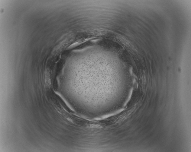 X0000081471058200701261957