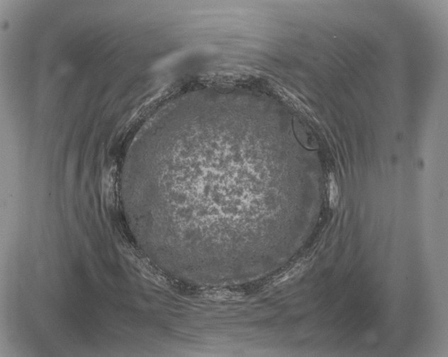 X0000081471059200701261957