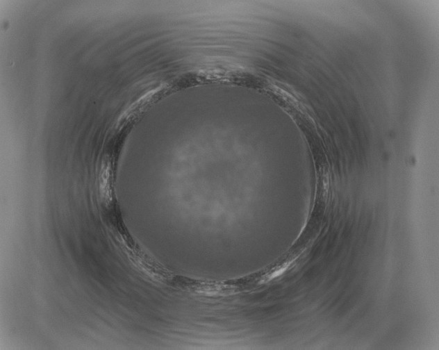 X0000081471060200701261957