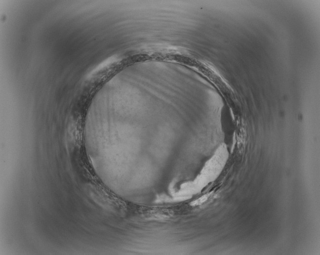 X0000081471063200701261957