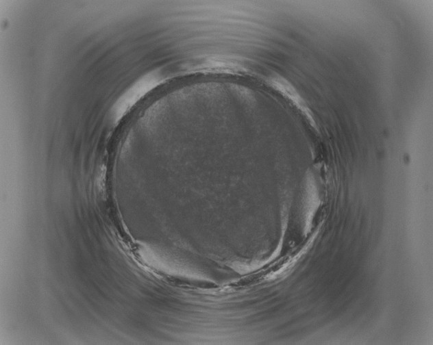 X0000081471066200701261957