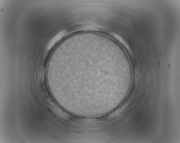 X0000081471067200701261957