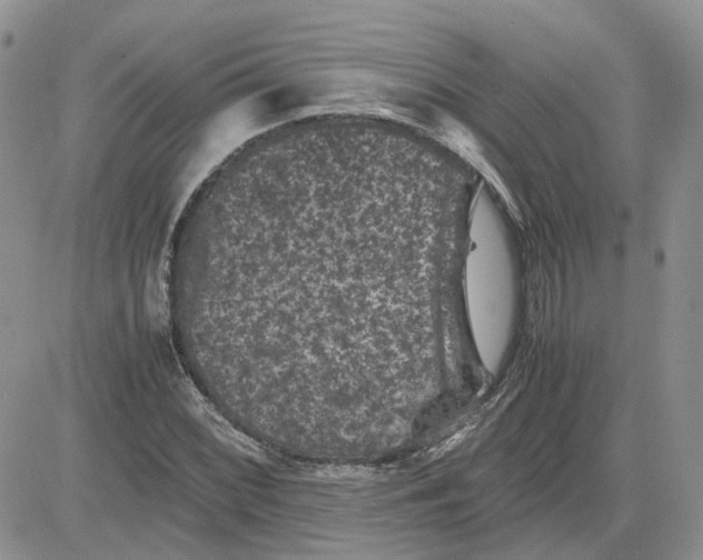 X0000081471068200701261957