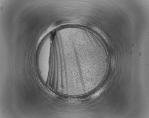 X0000081471069200701261957