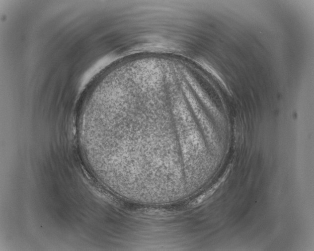 X0000081471070200701261957