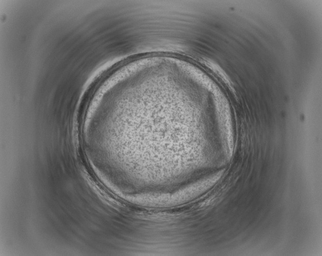 X0000081471072200701261957