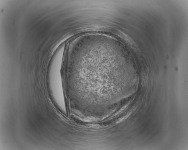 X0000081471073200701261957