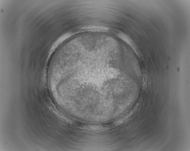 X0000081471074200701261957