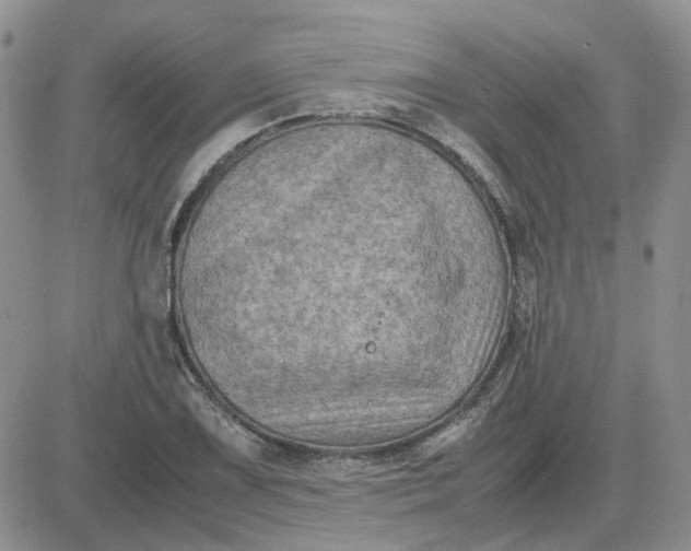 X0000081471075200701261957