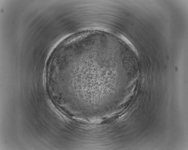 X0000081471076200701261957