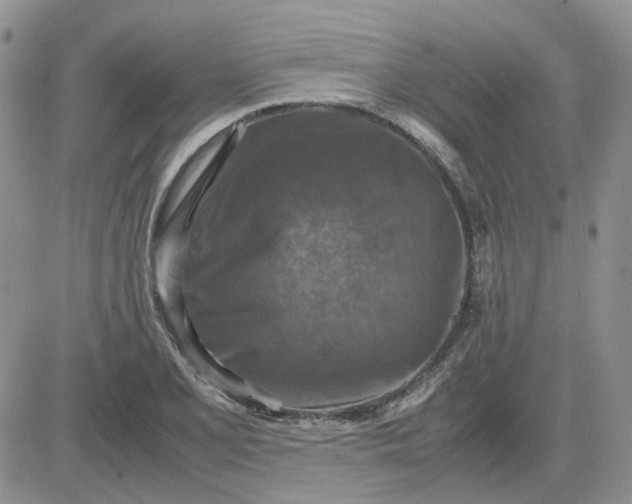 X0000081471077200701261957