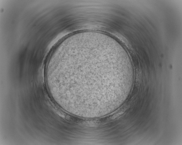 X0000081471078200701261957