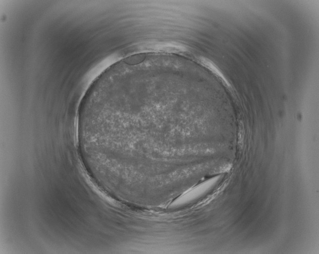 X0000081471079200701261957