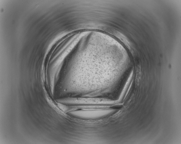 X0000081471080200701261957