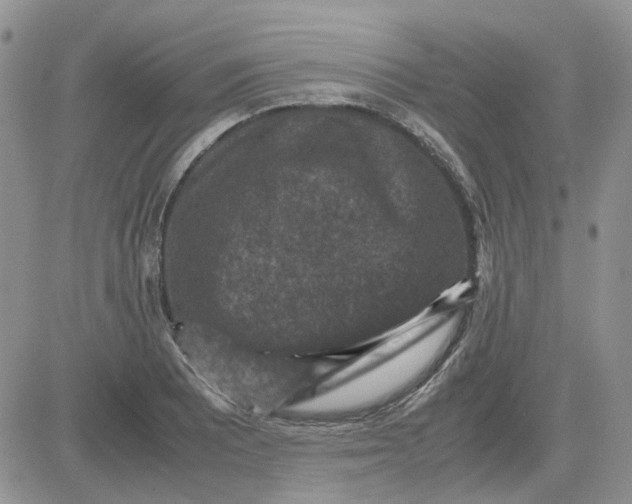 X0000081471081200701261957