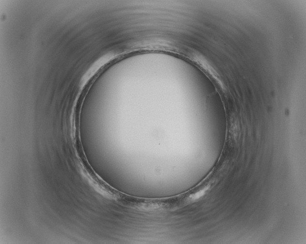 X0000081471082200701261957