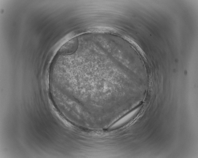 X0000081471083200701261957