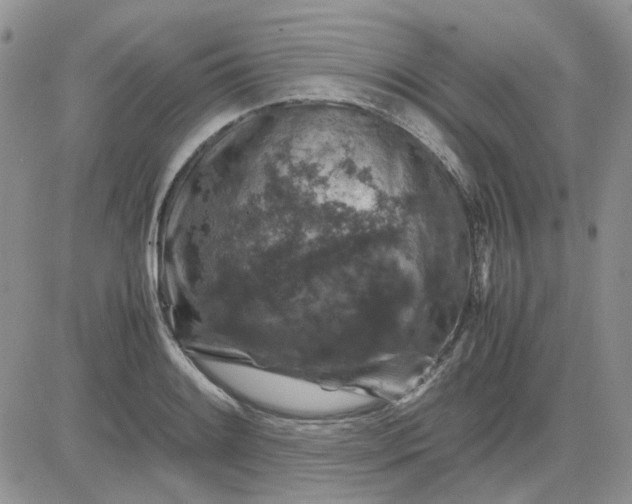 X0000081471084200701261957