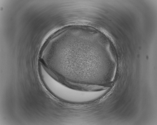 X0000081471085200701261957