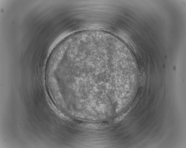 X0000081471086200701261957