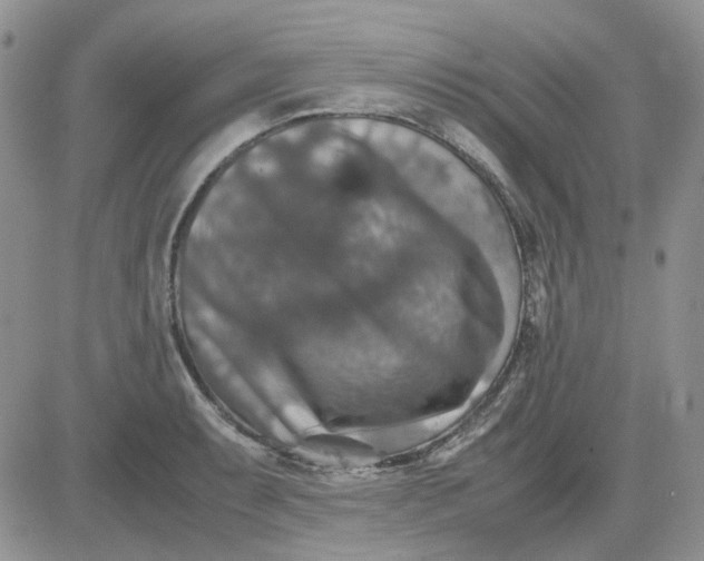 X0000081471087200701261957