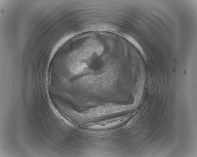 X0000081471088200701261957