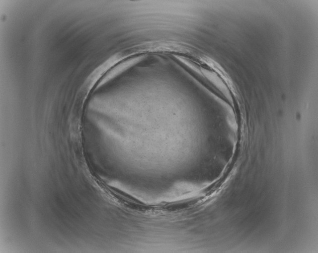 X0000081471089200701261957