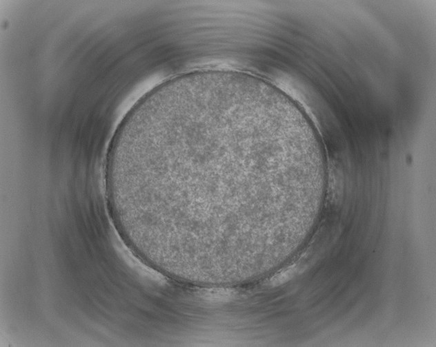 X0000081471090200701261957