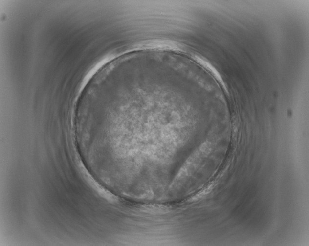 X0000081471091200701261957