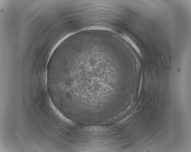 X0000081471092200701261957