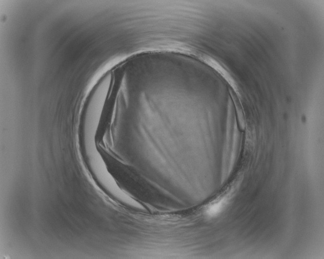 X0000081471093200701261957