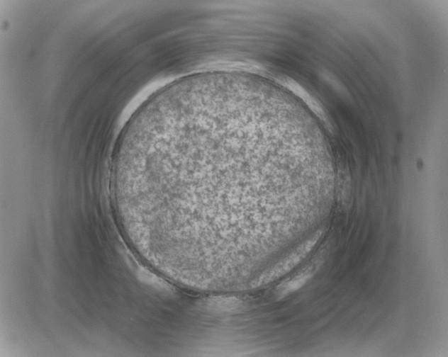 X0000081471094200701261957