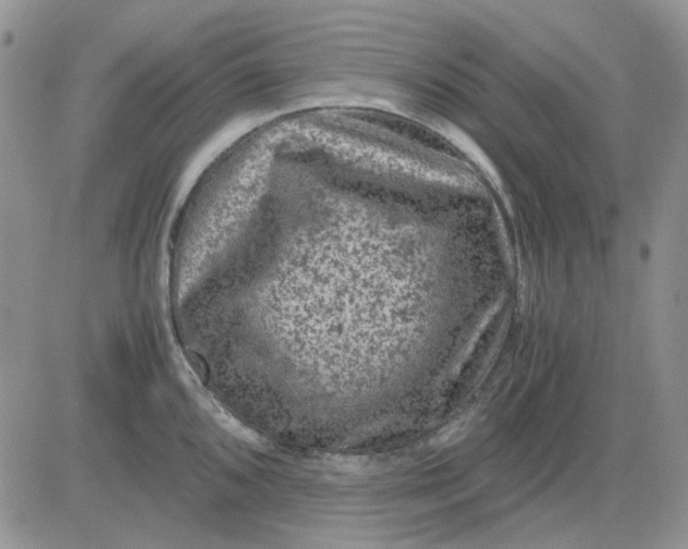 X0000081471096200701261957