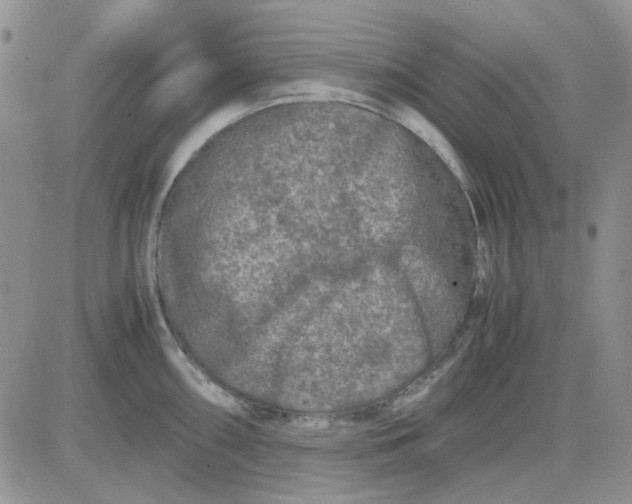 X0000081471098200701261957