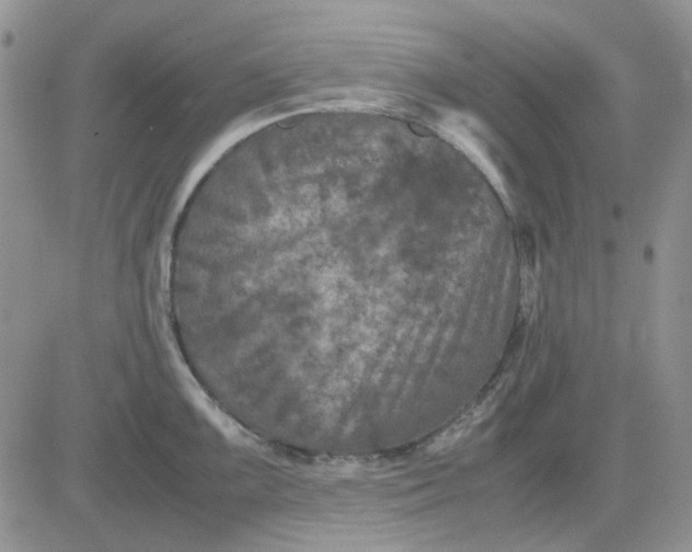 X0000081471099200701261957