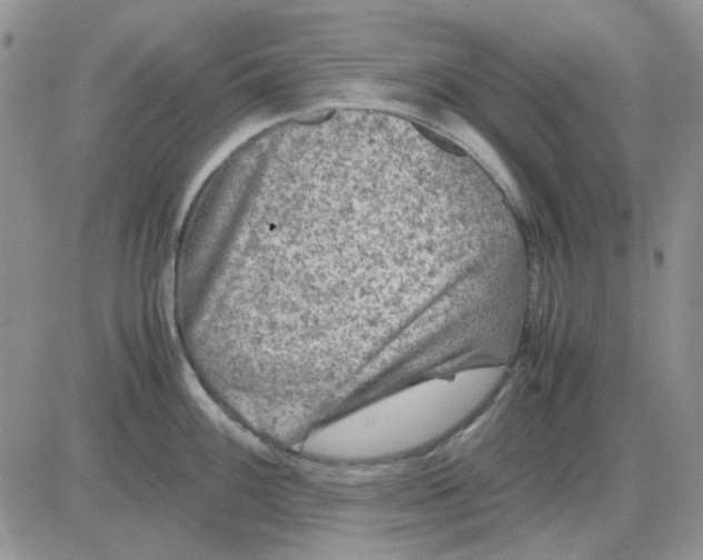 X0000081471100200701261957