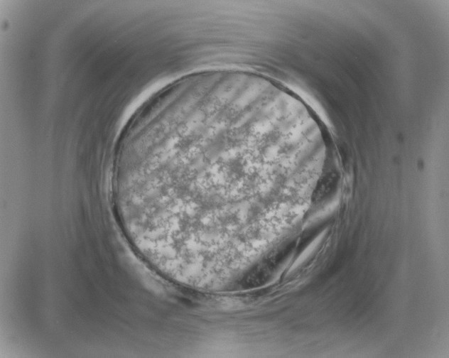 X0000081471101200701261957