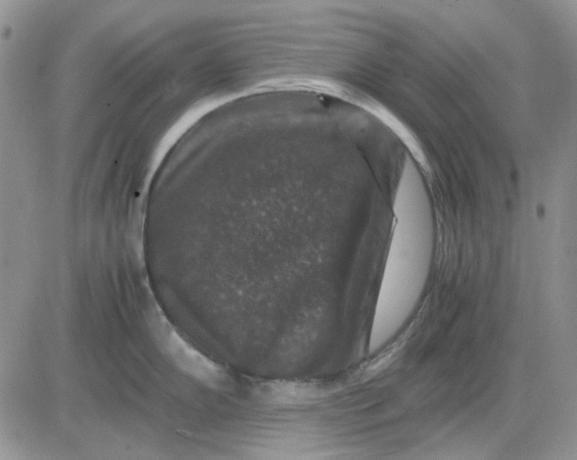 X0000081471102200701261956