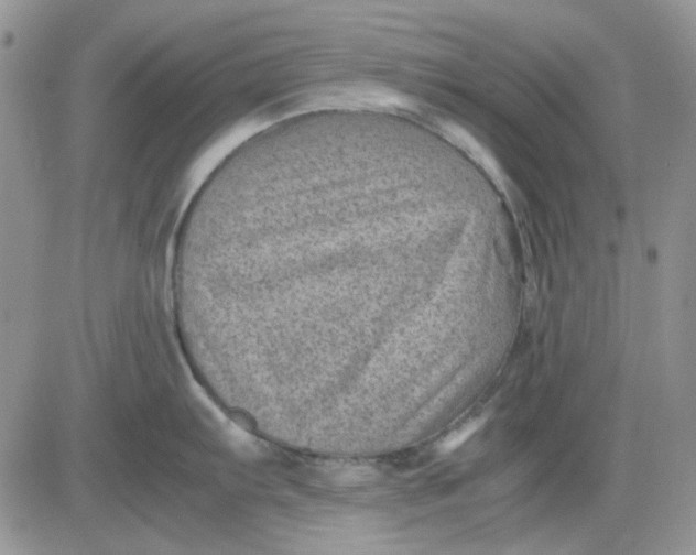 X0000081471103200701261956