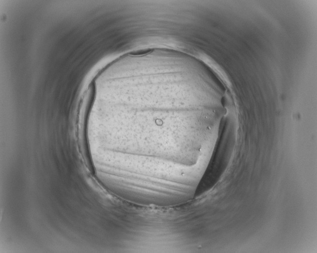 X0000081471104200701261956